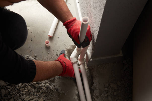 Best Clogged Drain Plumber  in Sanborn, IA