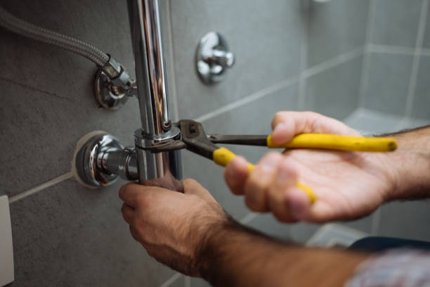 Best Emergency Plumber  in Sanborn, IA