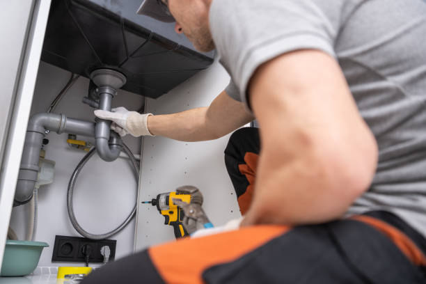 Best Drain Cleaning Services  in Sanborn, IA