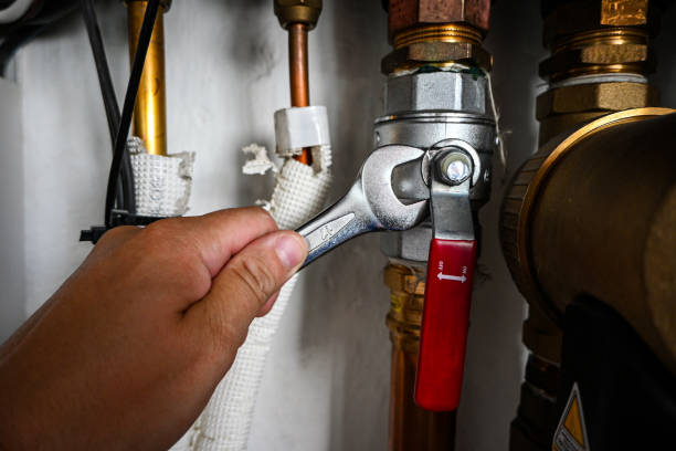 Best Best Plumbers Near Me  in Sanborn, IA